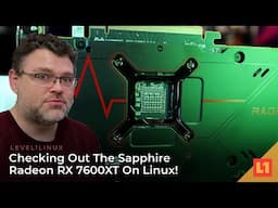 Checking Out The Sapphire Radeon RX 7600XT On Linux!