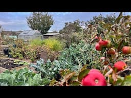 Debbie’s plot tour ~ winding down ready for spring