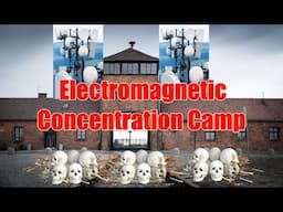 Welcome to Your Electromagnetic Concentration Camp - Targeted Individuals and Everyone Else