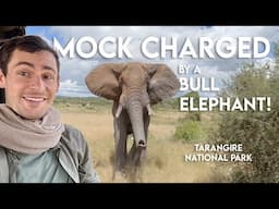 Tanzania Safari VLOG - Our Wild Day in Tarangire National Park