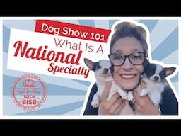 Dog Show 101 - What is a National Specialty Dog Show?