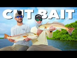 3 Days Chasing Redfish Only Using Cut Bait