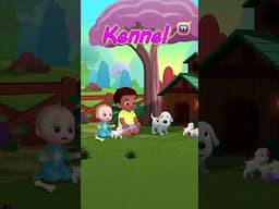 Animal Homes Song - Part 2 - #Shorts #ChuChuTV #NurseryRhymes #KidsSongs #Learningsongs