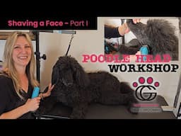 Shaving a Poodle Face - Poodle Head Workshop Part 1 #grooming #poodle #groomingeducation