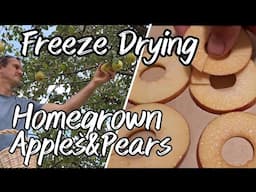 Freeze Drying Homegrown Apples and Pears