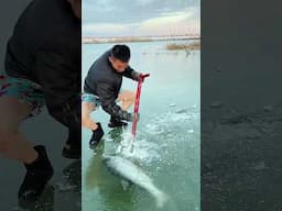 This Incredible Ice Fishing Technique Went Viral on the Internet #shorts #trending #viralvideo