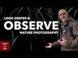 Nature Photography - Look Deeper and Observe