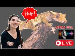 How to Answer Reptile Questions      🦎🦎🦎