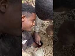 Barehand Catching Giant Crab