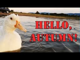 Duck's Autumn Swimming Season Opening!