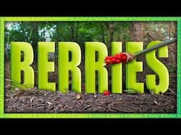 Berries | Animation & Live Action Short Film