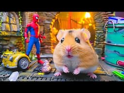 Breaking Through the Spider Maze 🕸️ Hamster Daring Escape 🐹 Mini Danisa