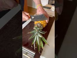 How to cut and grow your own pineapple!🍍#pineapple #howtocutpineapple #growpineapple #freeplants