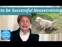 Absolutely The Best Tips on Housetraining a Puppy