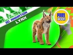 Green Screen Lynx Feline 3D Animation - PixelBoom