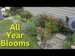 Perennial Garden Tour - You can Have Blooms All Season