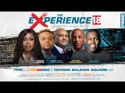 The Experience 18