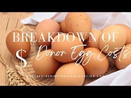 Breakdown of Donor Egg Costs