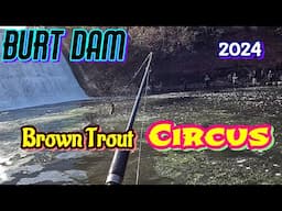 Burt Dam Brown Trout Circus 2024