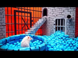 "Hamster Adventure: Conquering the Craziest Maze Ever!"