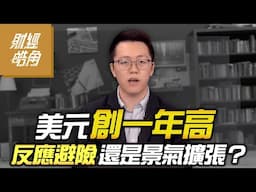 【財經皓角】第222集 美元創一年高 反應避險還是景氣擴張？｜游庭皓【GMoney X 金臨天下】20241123