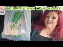 DOLLAR TREE CAR HAUL | Fun and New | November 15, 2024