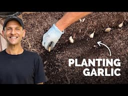 Planting Garlic for Next Summer! | Gardening with Wyse Guide