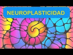 La capacidad del cerebro para modificarse y ajustarse. El papel del arte neurográfico."