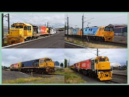 The Hamilton Rail Scene (ft. EF electrics and DC 4818) ~ 14/11/2024 (HD)