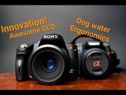 The Sony A390 - Innovative, High Res CCD, Ergonomics not for humans