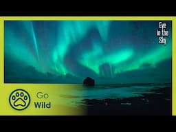 Land of fire and ice, Iceland | Eye in the Sky 4/5 | Go Wild