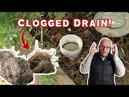 How To Inspect & Improve Yard Drainage (while we replace concrete)