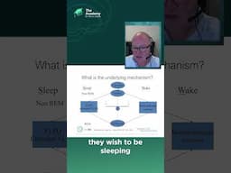 Understanding “Sleep Systems” as a Clinician