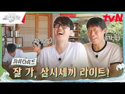 사소한 고마움이 모여 10년이 되었습니다✨ #highlight #삼시세끼Light EP.10