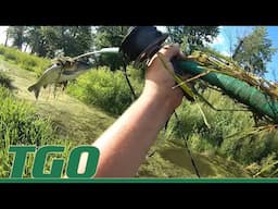 Summer Spear Fishing Illinois River 2024 Tex Grebner Outdoors