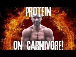 Carnivore Protein Intake EXPLAINED #carnivorediet #carnivore #protein