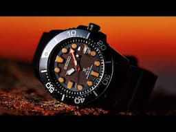 TOP 5 BEST SEIKO WATCHES 2024