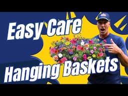 Easy Care Hanging Baskets #hangingbasket #hangingbasketplant #plantcare