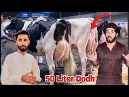 Modern ￼Dairy Farming Ke Sath Pets Ka Shauk Dekh Kr Dil Khush Hogya 😱 Surprise For Samad