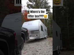 DIY cat litter box storage in toy hauler #rvtips #rvcats #fulltimerv