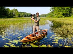 Day in the life of a Maine wildlife photographer