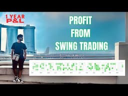 My One Year Swing Trading  Profit - All Days Green