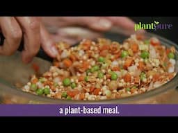 PlantPure Meal Starters: Burger Pack