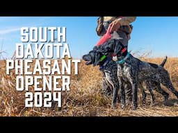 South Dakota Pheasant Opener 2024 - WHAT YOU NEED TO KNOW!