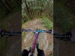 Going Down #freeride #mtb