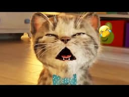 Guilty Dog and cat is so funny😸🐶Try Not to Laugh😻🐈2024