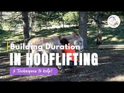 5 techniques For Building Duration in Hoof lifting (so your horse holds his feet up easily)