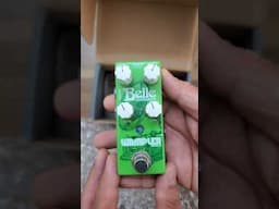 #Unboxing the @wampler_pedals Belle Pedal #shorts #shortvideo