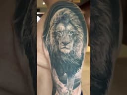 Healed beautifully, Lion tattoo by @SunnyBhanushali at @alienstattooindia www.alienstattoo.com