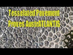 Patonga Tesselated Pavement Proves Australantis